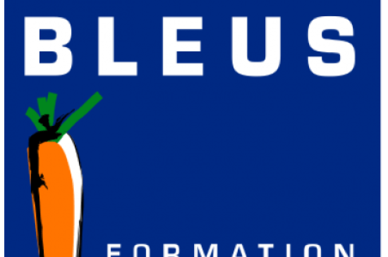 Lapins Bleus sur mesure : formation au mixage 5.1