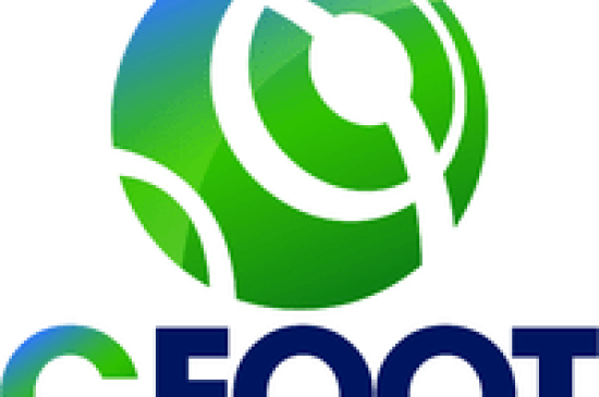 CFoot : Formation au workflow ISIS/Interplay sur Pro ToolsHD/ D-Command/ Video Satellite par Pascal Flork