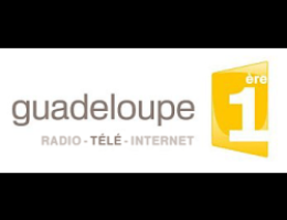 Guadeloupe 1ere : formation Pro Tools HD / ICON dans un environnement ISIS/Interplay par Pascal Flork. 