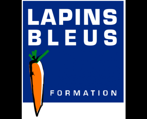 Lapins Bleus Formations : Perfectionnement à l'exploitation de Pro Tools 10 pour le montage de directs par Pascal Flork