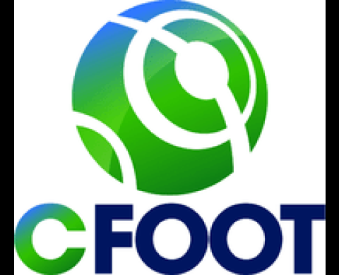 CFoot : Formation au workflow ISIS/Interplay sur Pro ToolsHD/ D-Command/ Video Satellite par Pascal Flork