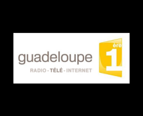 Guadeloupe 1ere : formation Pro Tools HD / ICON dans un environnement ISIS/Interplay par Pascal Flork. 