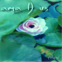 amaDus "Pulsrar" : composition, production, production, recordings, editing, mixing, mastering by Pascal 'pako' Flork