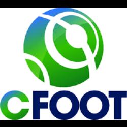 CFoot : Sound Post-Production training in an ISIS / Interplay Workflow with Pro Tools HD9 / Satellite Video / D-Command"